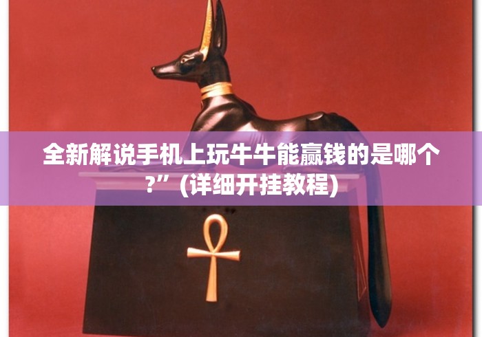 全新解说手机上玩牛牛能赢钱的是哪个?”(详细开挂教程)