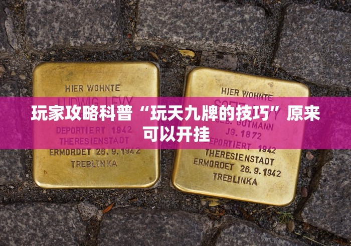 玩家攻略科普“玩天九牌的技巧”原来可以开挂