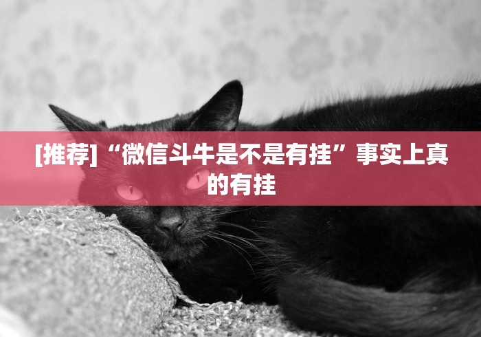 [推荐]“微信斗牛是不是有挂”事实上真的有挂