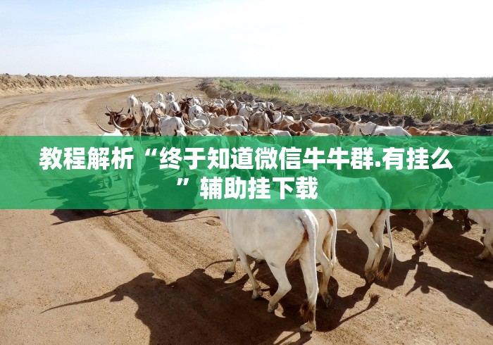 教程解析“终于知道微信牛牛群.有挂么”辅助挂下载 教程解析“终于知道微信牛牛群.有挂么”辅助挂下载