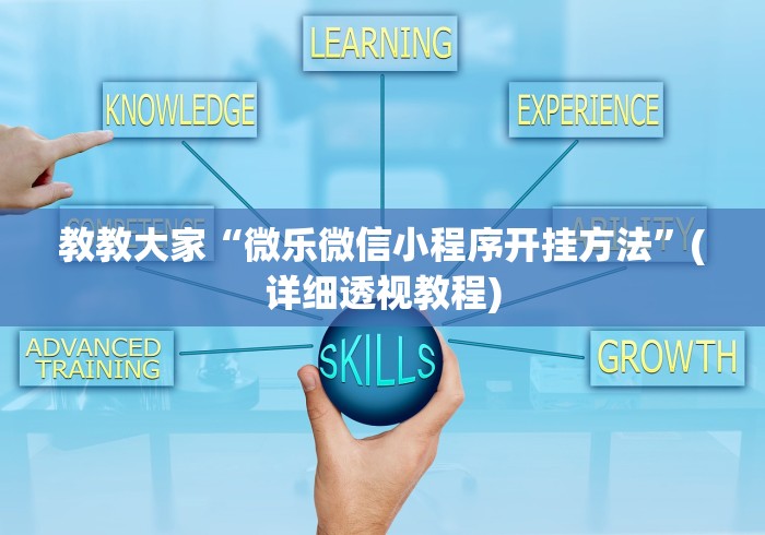 教教大家“微乐微信小程序开挂方法”(详细透视教程) 教教大家“微乐微信小程序开挂方法”(详细透视教程)