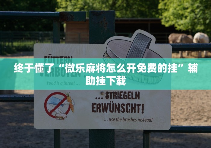 终于懂了“微乐麻将怎么开免费的挂”辅助挂下载