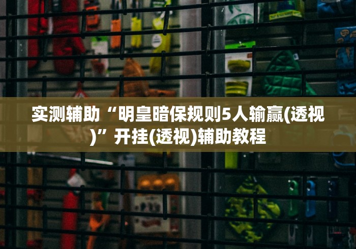 实测辅助“明皇暗保规则5人输赢(透视)”开挂(透视)辅助教程