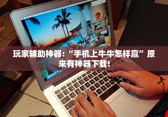 玩家辅助神器:“手机上牛牛怎样赢”原来有神器下载!