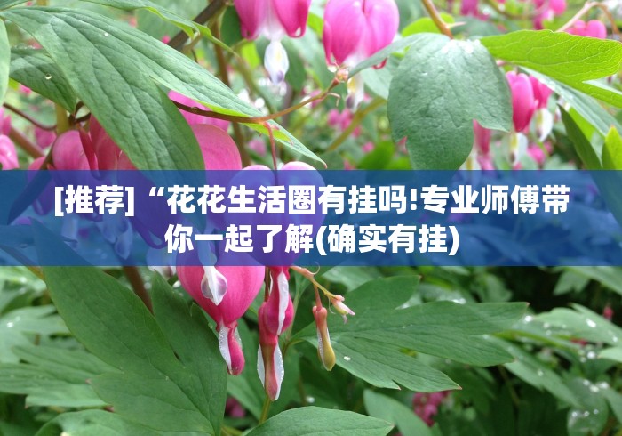 【第一发现】“微乐山西麻将小程序挂”开挂辅助脚本+详细开挂 【第一发现】“微乐山西麻将小程序挂”开挂辅助脚本+详细开挂