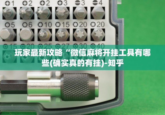 玩家最新攻略“微信麻将开挂工具有哪些(确实真的有挂)-知乎 玩家最新攻略“微信麻将开挂工具有哪些(确实真的有挂)-知乎
