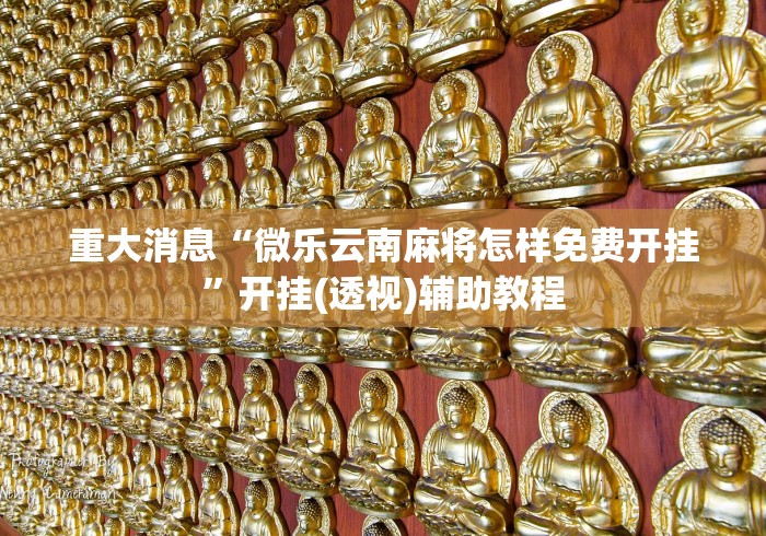 重大消息“微乐云南麻将怎样免费开挂”开挂(透视)辅助教程 重大消息“微乐云南麻将怎样免费开挂”开挂(透视)辅助教程