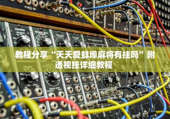 教程分享“天天爱蚌埠麻将有挂吗”附透视挂详细教程 