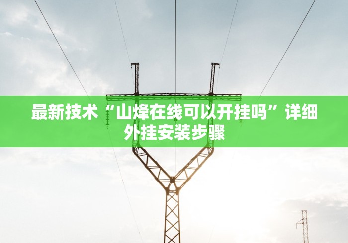 最新技术“山烽在线可以开挂吗”详细外挂安装步骤