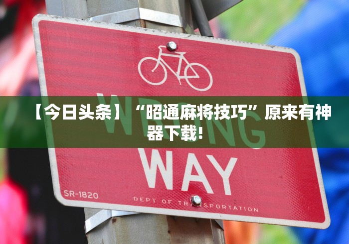 【今日头条】“昭通麻将技巧”原来有神器下载!