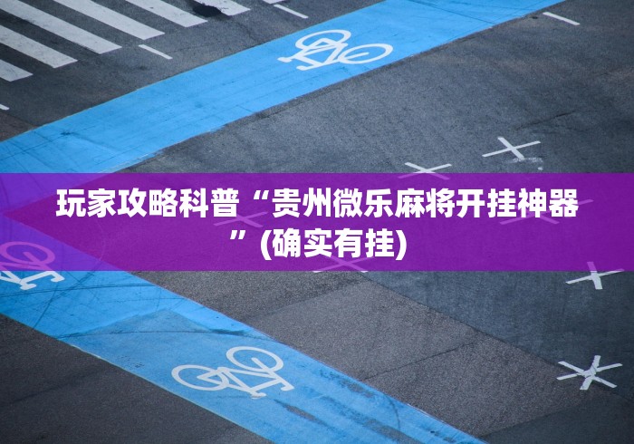 玩家攻略科普“贵州微乐麻将开挂神器”(确实有挂)