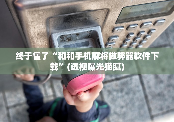 终于懂了“和和手机麻将做弊器软件下载”(透视曝光猫腻)