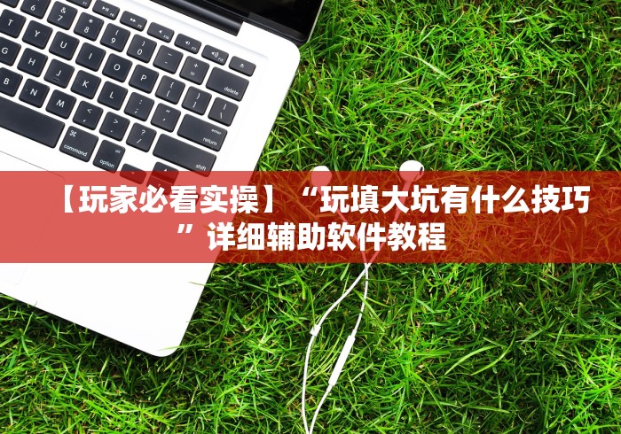 【玩家必看实操】“玩填大坑有什么技巧”详细辅助软件教程