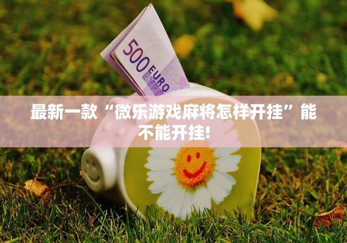 最新一款“微乐游戏麻将怎样开挂”能不能开挂!