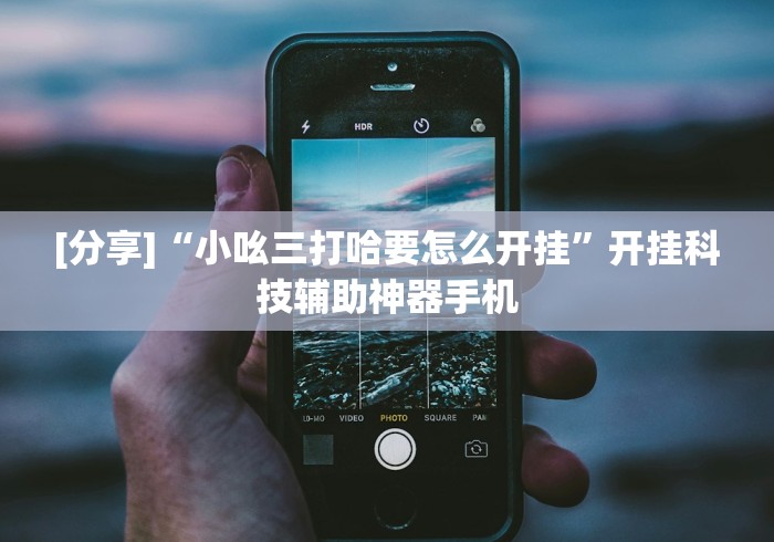 [分享]“小吆三打哈要怎么开挂”开挂科技辅助神器手机