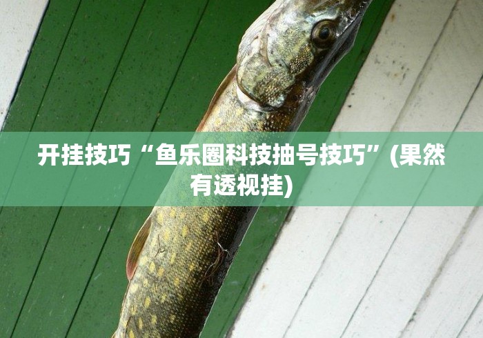 开挂技巧“鱼乐圈科技抽号技巧”(果然有透视挂)