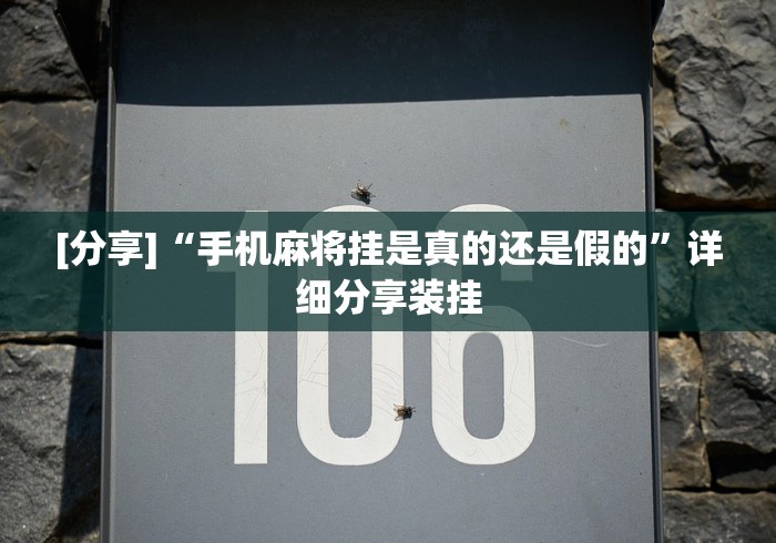 [分享]“手机麻将挂是真的还是假的”详细分享装挂