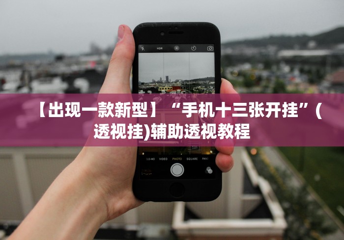 【出现一款新型】“手机十三张开挂”(透视挂)辅助透视教程