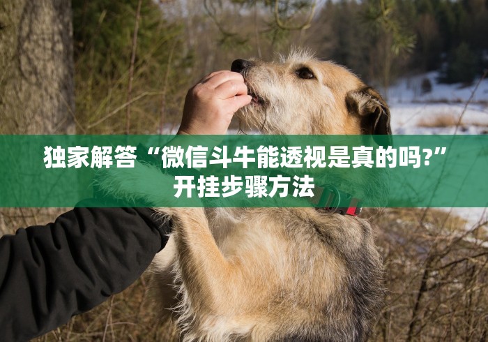 独家解答“微信斗牛能透视是真的吗?”开挂步骤方法