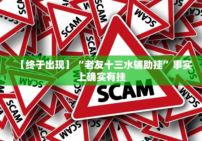 【终于出现】“老友十三水辅助挂”事实上确实有挂