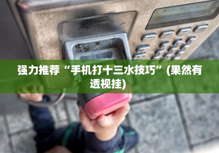 强力推荐“手机打十三水技巧”(果然有透视挂) 