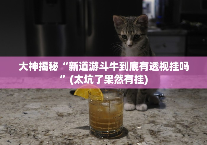 大神揭秘“新道游斗牛到底有透视挂吗”(太坑了果然有挂)