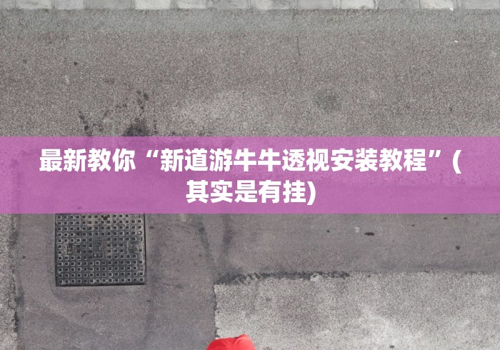 最新教你“新道游牛牛透视安装教程”(其实是有挂)
