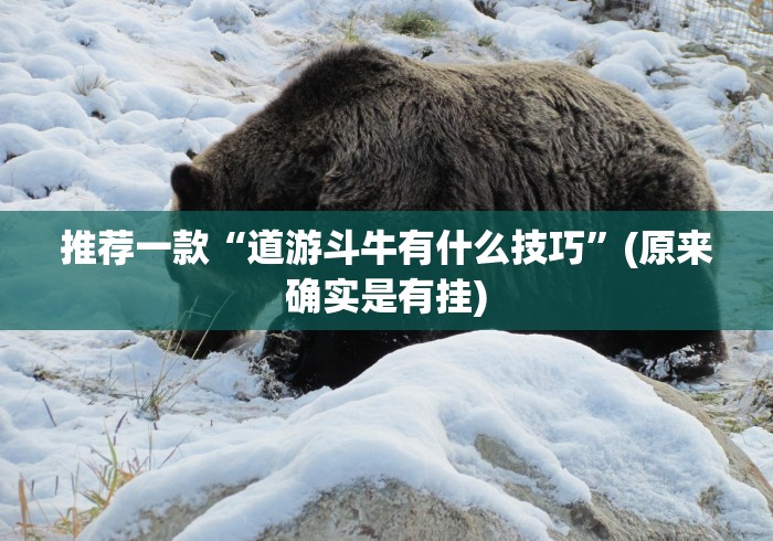 推荐一款“道游斗牛有什么技巧”(原来确实是有挂)