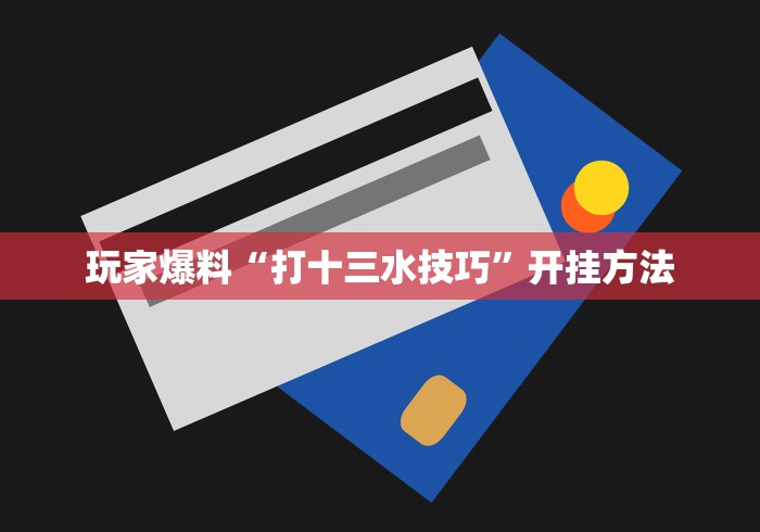 玩家爆料“打十三水技巧”开挂方法
