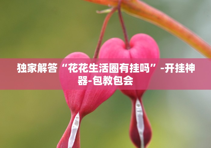 独家解答“花花生活圈有挂吗”-开挂神器-包教包会