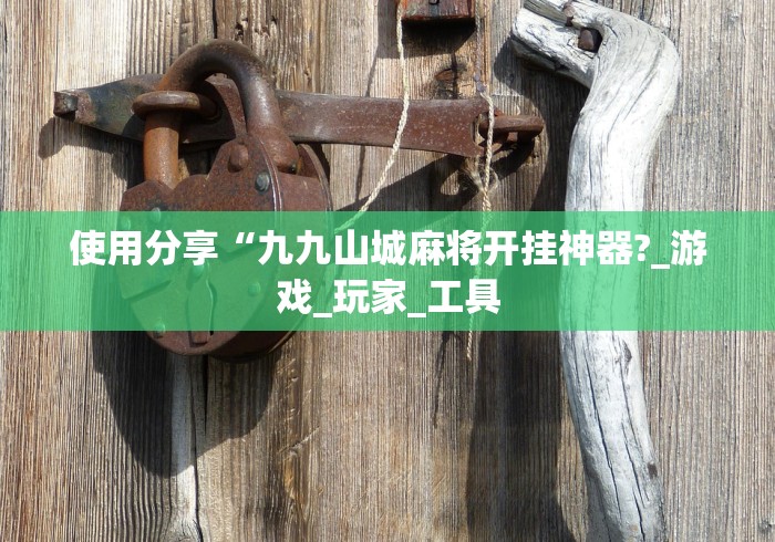 使用分享“九九山城麻将开挂神器?_游戏_玩家_工具