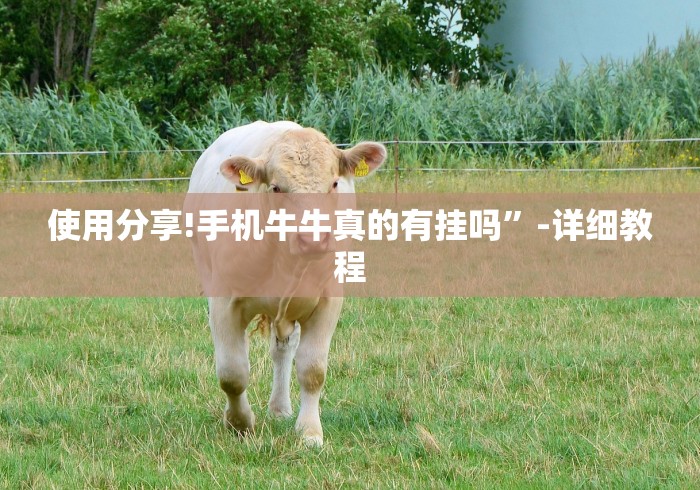 使用分享!手机牛牛真的有挂吗”-详细教程