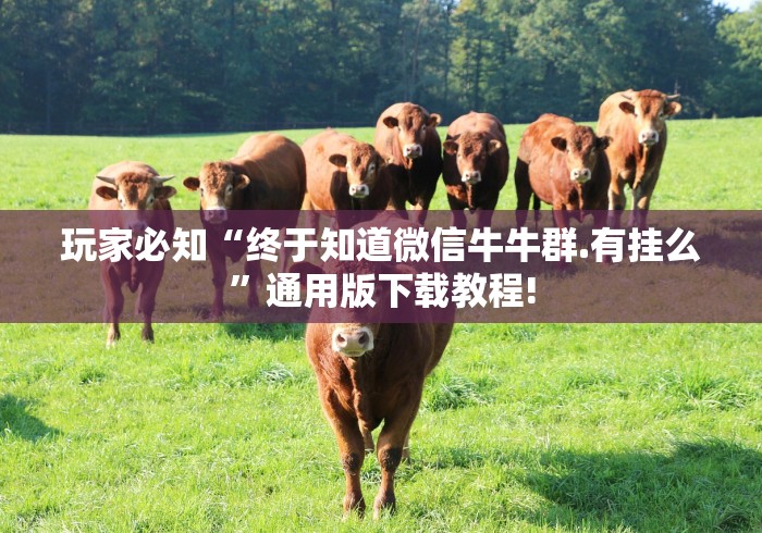 【揭秘一下】“微乐麻将亲友房有挂吗	”真实开挂技巧分享