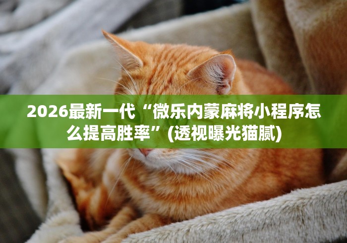 2026最新一代“微乐内蒙麻将小程序怎么提高胜率	”(透视曝光猫腻)