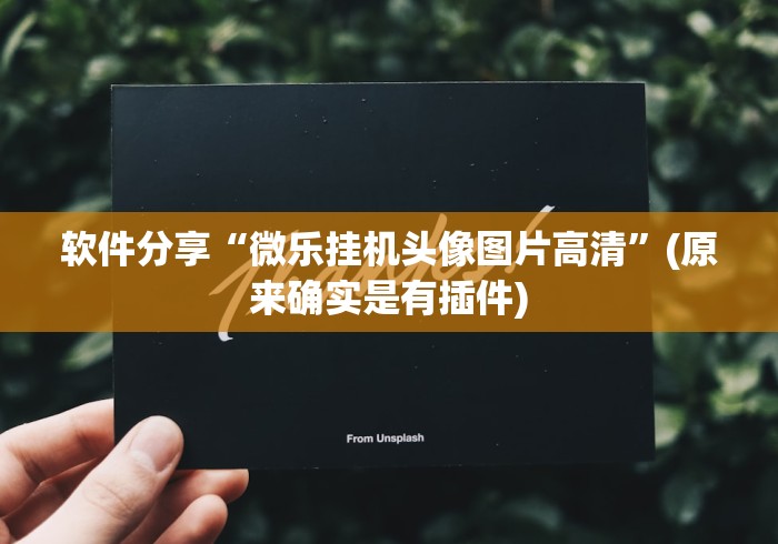 软件分享“微乐挂机头像图片高清”(原来确实是有插件)