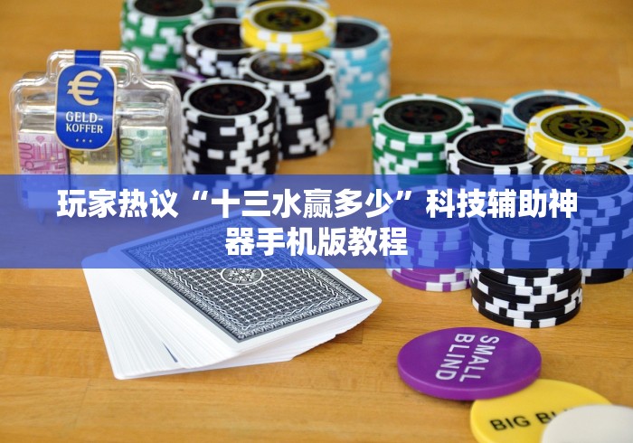 玩家热议“十三水赢多少”科技辅助神器手机版教程