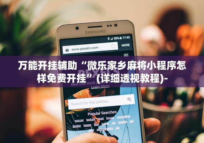 万能开挂辅助“微乐家乡麻将小程序怎样免费开挂”(详细透视教程)-