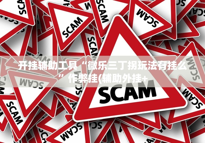 开挂辅助工具“微乐三丁拐玩法有挂么”作弊挂(辅助外挂+