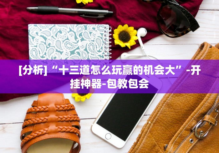 [分析]“十三道怎么玩赢的机会大”-开挂神器-包教包会