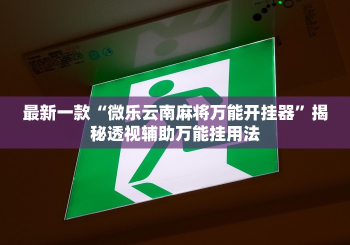 最新一款“微乐云南麻将万能开挂器”揭秘透视辅助万能挂用法