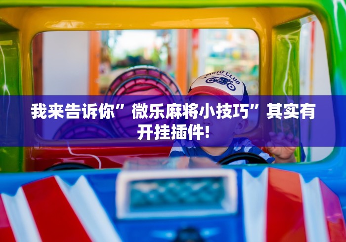 我来告诉你	”微乐麻将小技巧”其实有开挂插件!