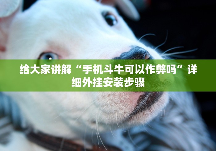 给大家讲解“手机斗牛可以作弊吗	”详细外挂安装步骤
