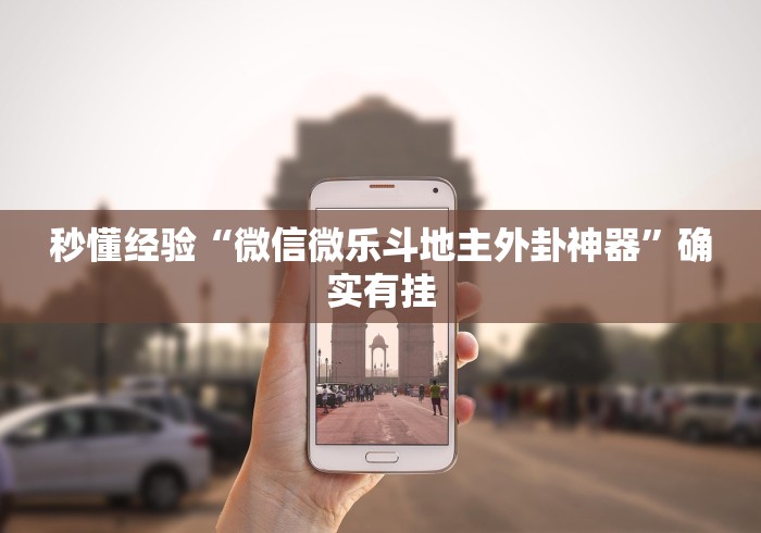 秒懂经验“微信微乐斗地主外卦神器	”确实有挂