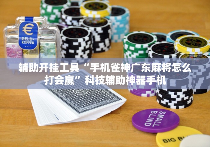 辅助开挂工具“手机雀神广东麻将怎么打会赢	”科技辅助神器手机