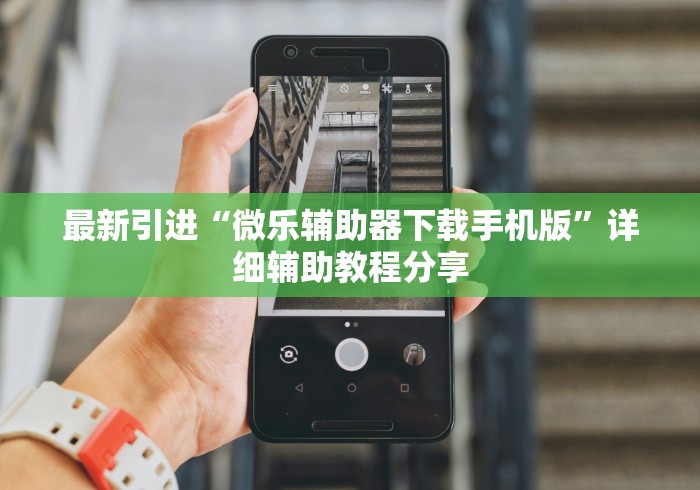 最新引进“微乐辅助器下载手机版”详细辅助教程分享