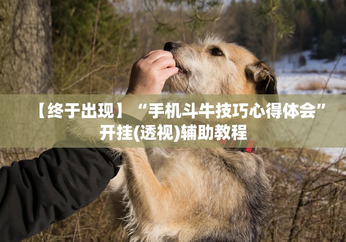 【终于出现】“手机斗牛技巧心得体会	”开挂(透视)辅助教程
