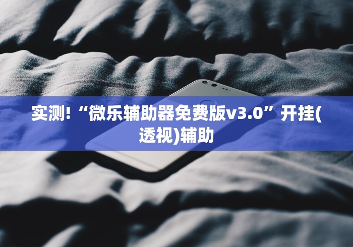 实测!“微乐辅助器免费版v3.0”开挂(透视)辅助