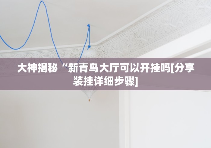 大神揭秘“新青鸟大厅可以开挂吗[分享装挂详细步骤]