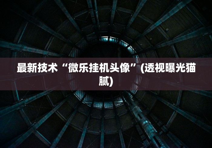 最新技术“微乐挂机头像”(透视曝光猫腻)