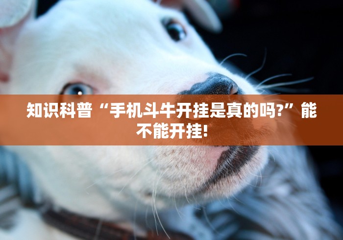 知识科普“手机斗牛开挂是真的吗?	”能不能开挂!